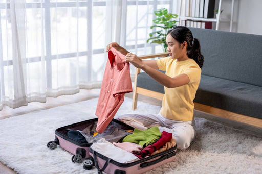 Don’t Bring Moths Home: 5 Ways Clothes Moths Hitchhike from Hotels to Houses