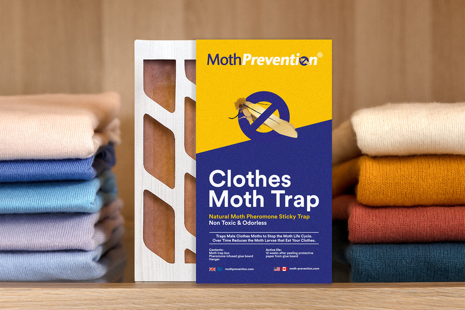 a MothPrevention Clothes Moth Trap on a shelf