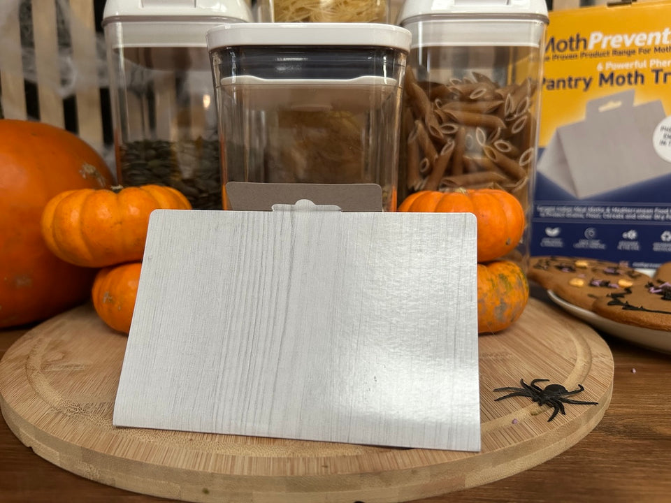 a Pantry Moth Trap in front of pumpkins and plastic sealed food containers