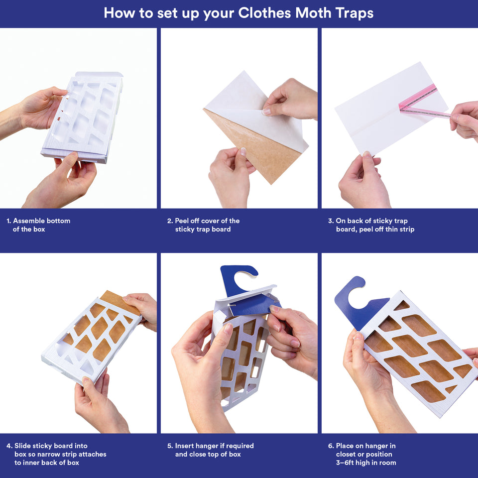 how to set up Moth Prevention clothes moth traps