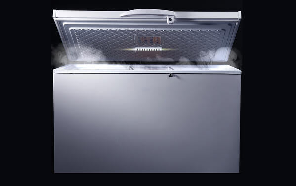 how do i get rid of clothes moth larvae will freezing kill clothes moth larvae and eggs