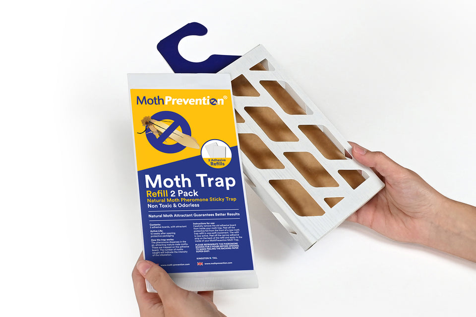 MothPrevention Clothes and Carpet Moth Trap and refill