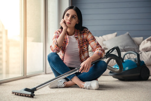 Why Do I Have Moths? Understanding the Carpet Moth Life Cycle