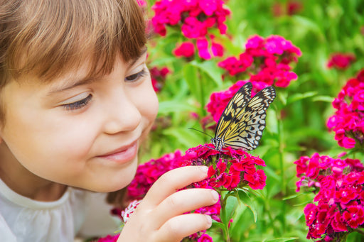 a young girl looking at a butterfly on some bright pink flowers