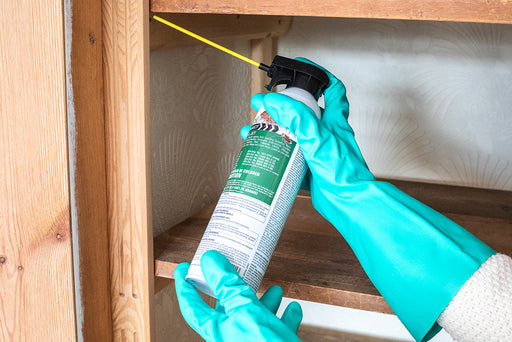aerosol being used to kill moths, larvae and eggs