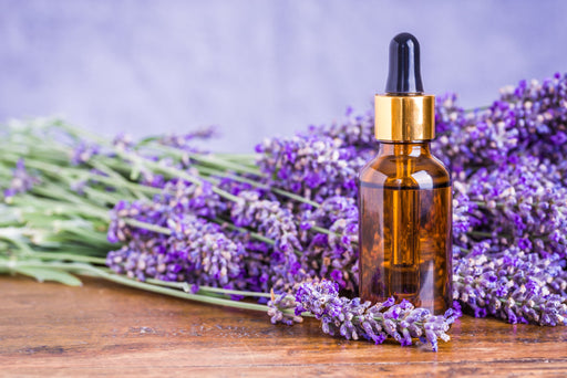Lavender oil in a glass dropper with fresh lavender