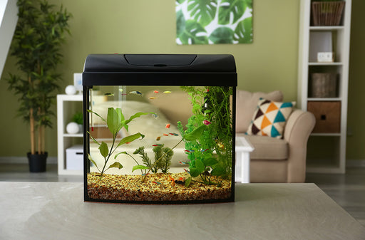 a fish tank in a living room
