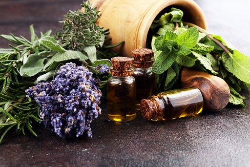 a variety of fresh herbs with essential oils