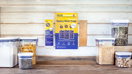 Moth Rearing Containers Everything to Know About Getting Rid of Moths In Cupboard Spaces