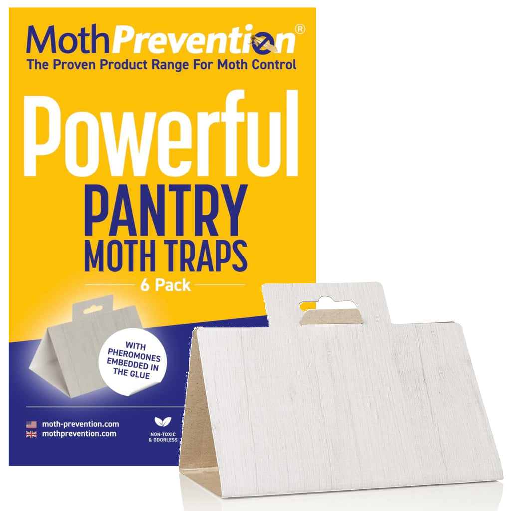 Powerful Pantry Moth Traps - 6 Pack