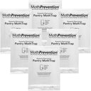 Powerful Pantry Moth Traps - 6 Pack
