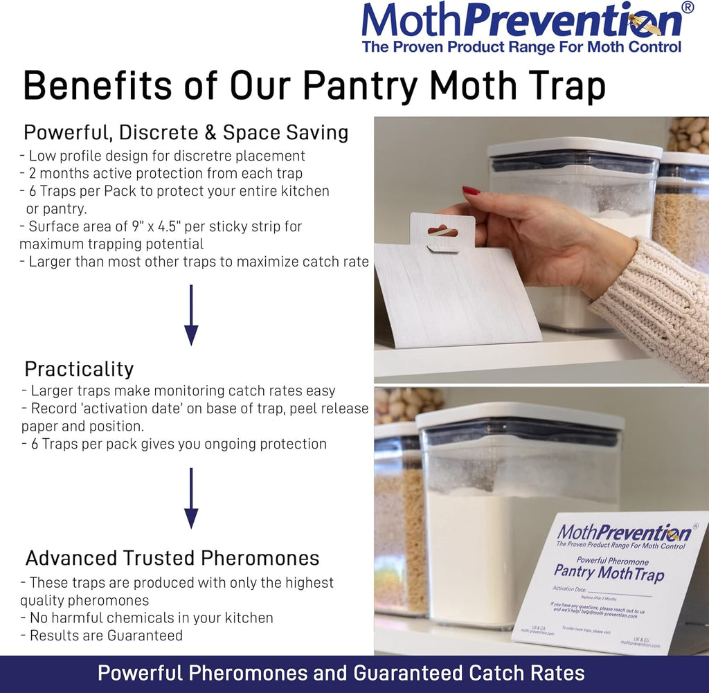 Powerful Pantry Moth Traps - 6 Pack