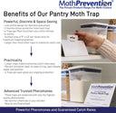 Powerful Pantry Moth Traps - 6 Pack