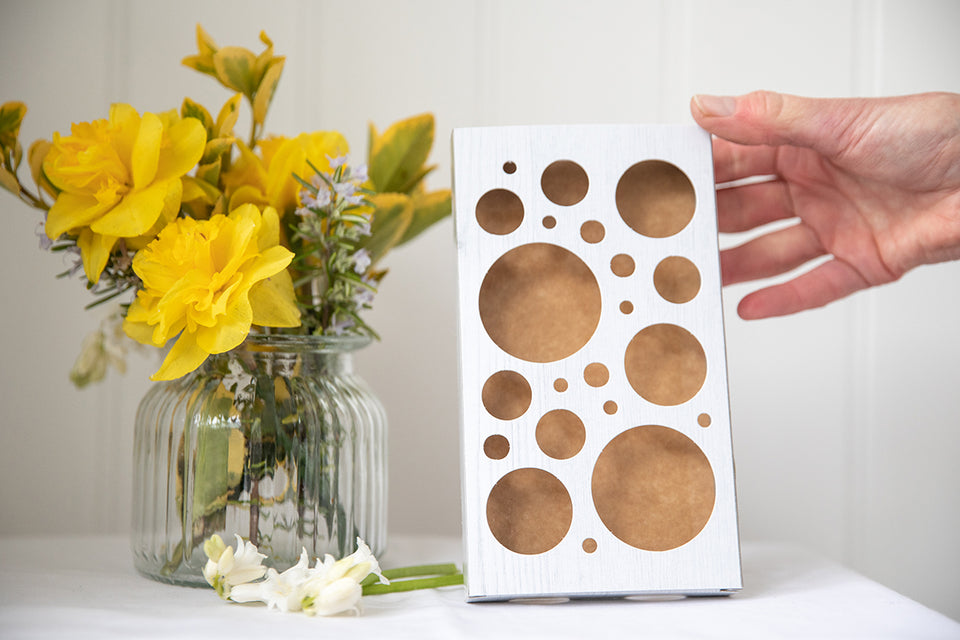 Getting Rid of Moths with Essential Oils