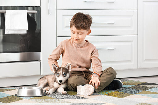 a boy with his Husky puppy and a bowl of kibble