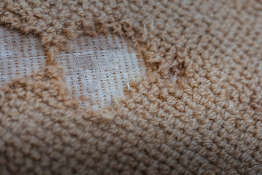 a carpet damaged by Carpet Moth Larvae