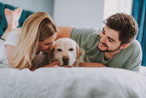 a couple on their bed with their dog between them
