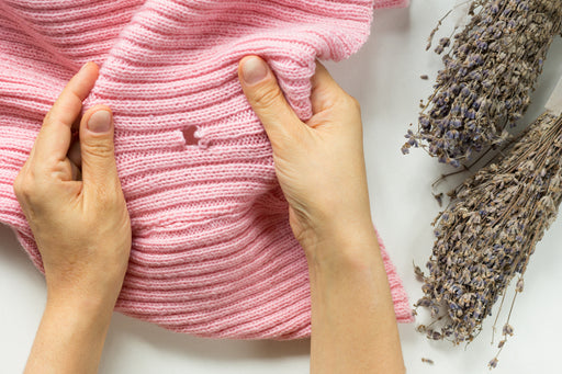 a pink wool sweater damaged by Clothes Moth Larvae, next to some bunches of dried lavender