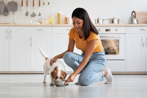 a woman feeding her dog in the kitchen