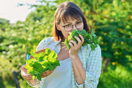 a woman in a garden holding and smelling fresh bunches of mint