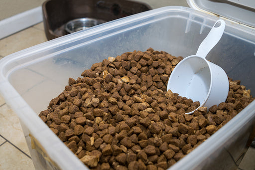 dog kibble in a large plastic container