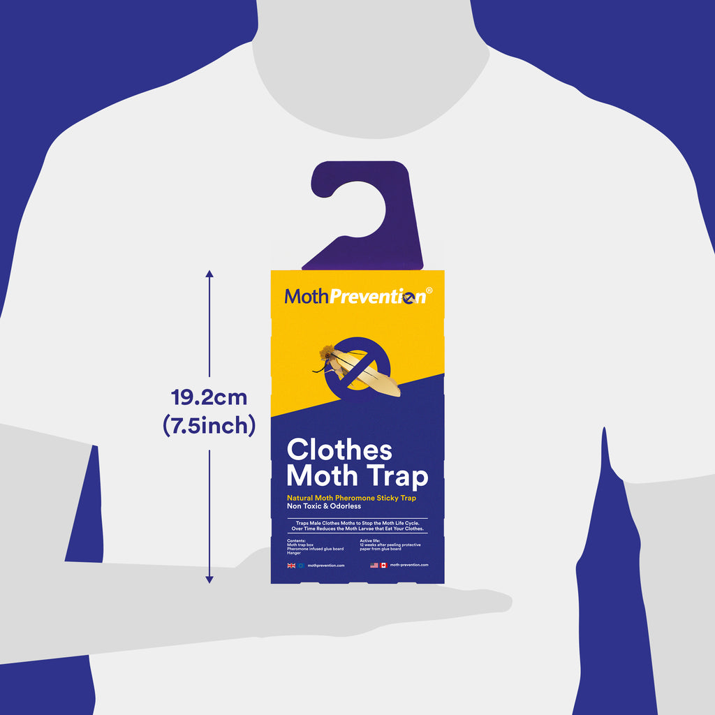 Clothes Moth Traps and Carpet Moth Traps Size by Moth Prevention
