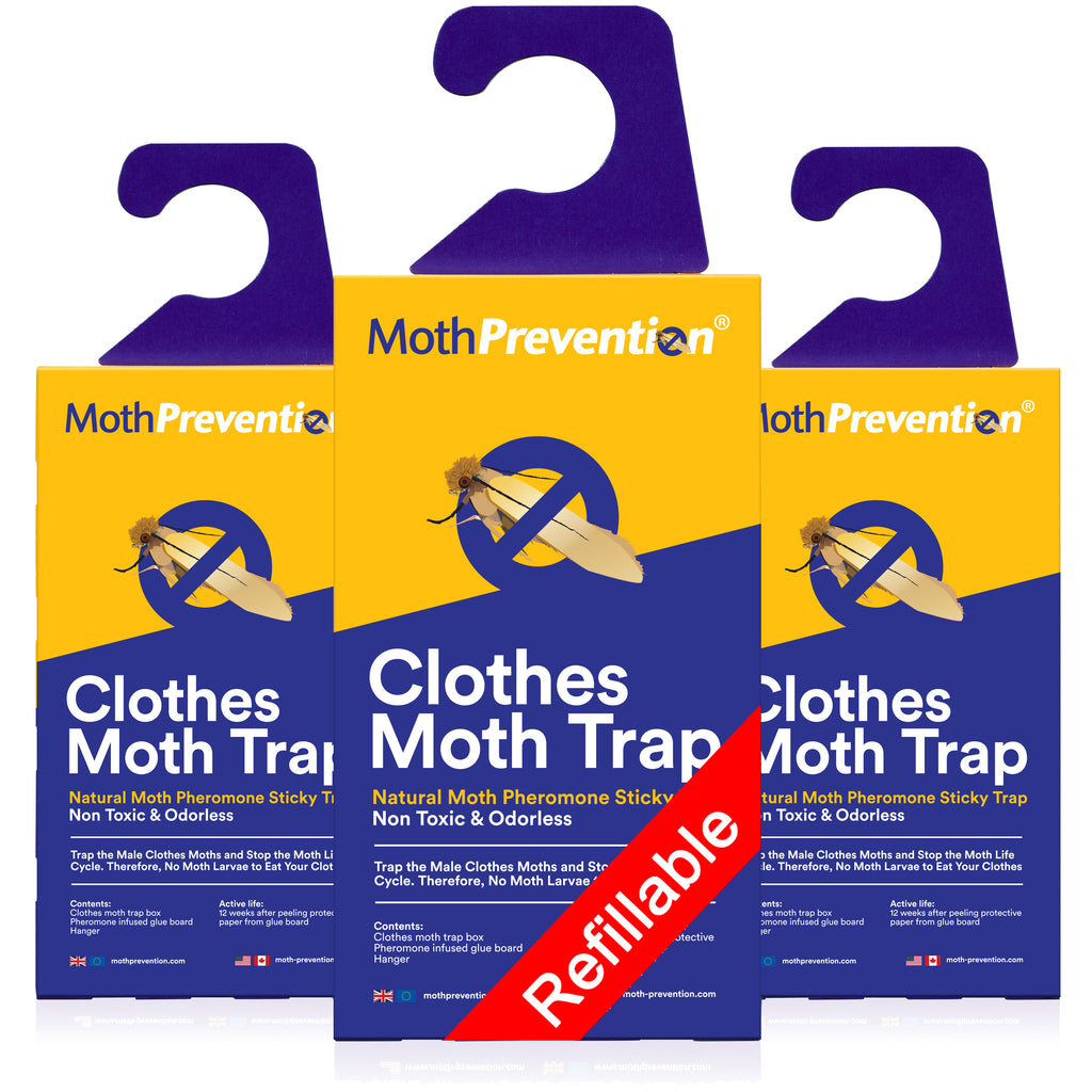 Clothing Moth Pheromone Trap 6-Pack - Clothes Moth Trap with Lure for  Closets