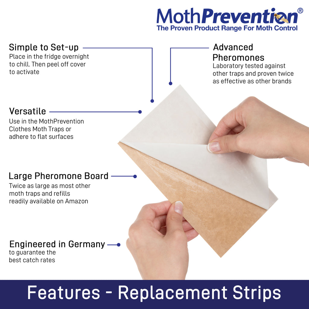 HighPerformance Clothes & Carpet Moth Trap Refills 6 Pack